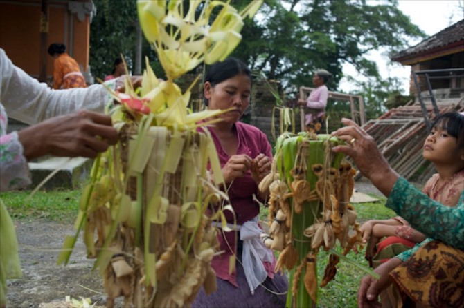 BANTEN. Perempuan Desa Buahan, Kecamatan Payangan, Kabupaten Gianyar, Bali bekerja sama membuat banten atau persembahan untuk "Jorogan". Ini merupakan salah satu proses upacara yang diikuti para perempuan dengan berebut banten atau persembahan yang sudah selesai dihaturkan. 