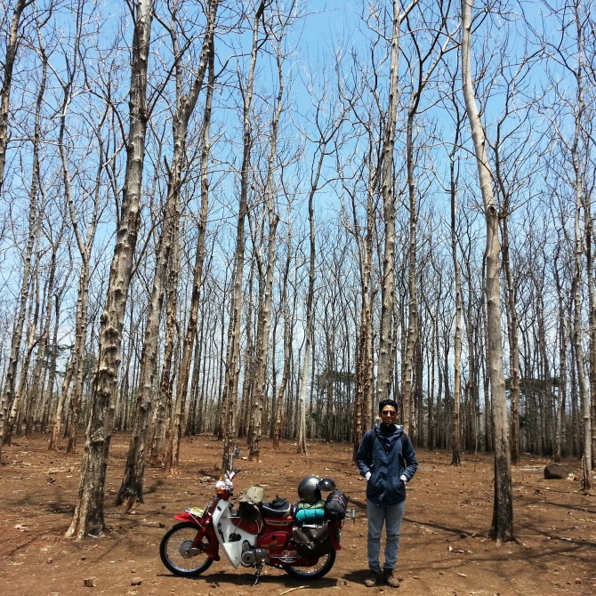 Anggara Mahendra, Baluran National Forest  - 2014
